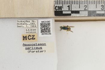 Media type: image;   Entomology 795146 Aspect: Labels